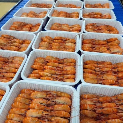 全膏罗氏虾 水产品中的营养瑰宝与餐桌新宠