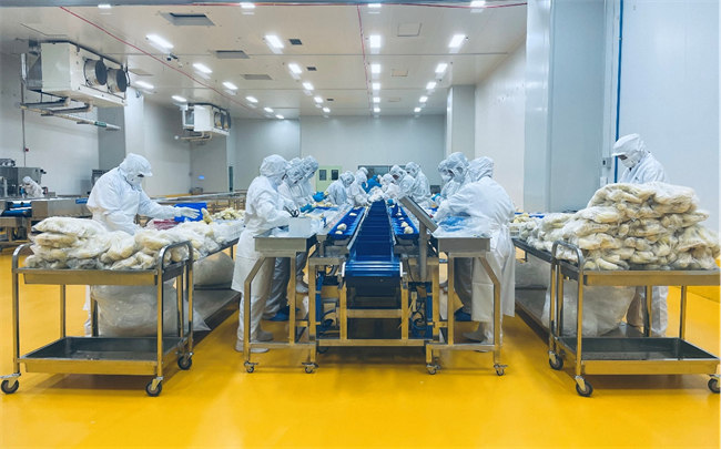 万纬青岛榴莲超级工厂正式开仓 携手客户共筑高效、韧性农产品供应链生态