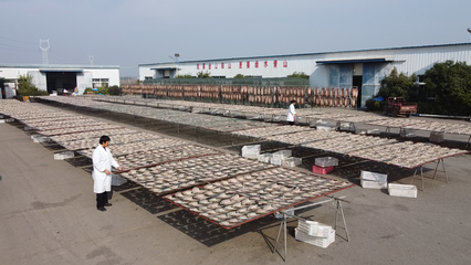 大冶 做足渔业文章，盘活水产经济，打造特色农产品新名片