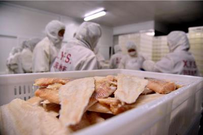 边陲小城与水产新篇 吉林在东北亚的新兴角色