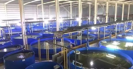 德清渔业养殖尾水治理成果显著，再获国家级专家关注