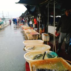 无锡小溪桥水产批发市场 地址、电话、营业时间与美食探寻指南