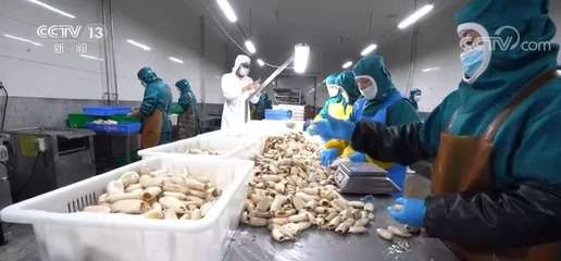 大食物观引领水产产业升级 预制菜如何延长水产养殖价值链