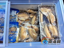 海南水产品现状解读 依赖出口、内销滞后，亟待转型升级