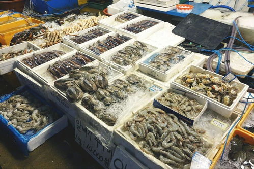 福建省全力保障元旦春节水产品市场供应