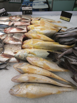 冷冻鲜鱼 现代水产品消费的新趋势